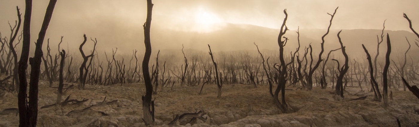 Prepping Fundamentals: Resilience for any Challenge