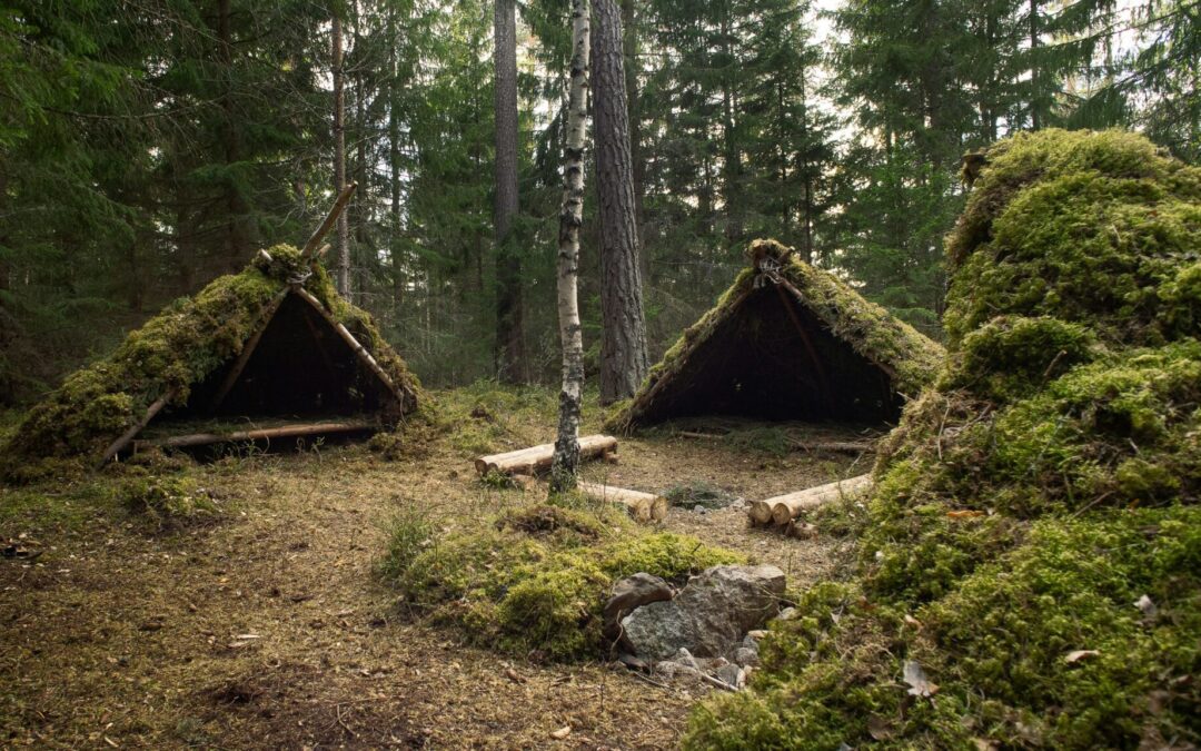 Top 10 Survival Skills